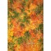 Seasonal Love Series